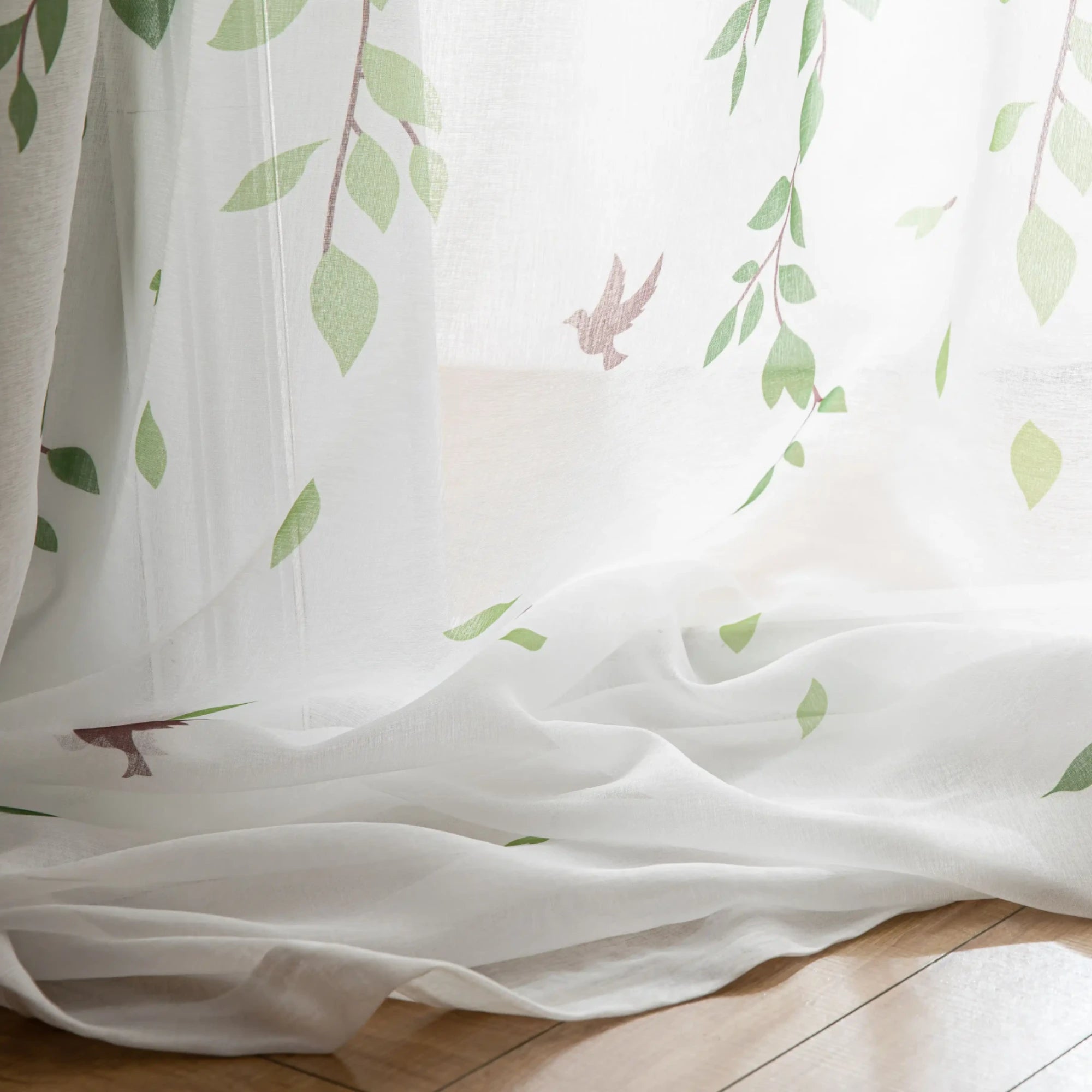 White Sheer White Sheer