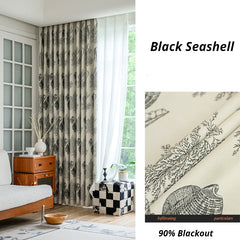 Black Seashell Black Seashell