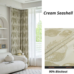Cream Seashell Cream Seashell