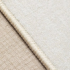 Ivory Brushed Silk